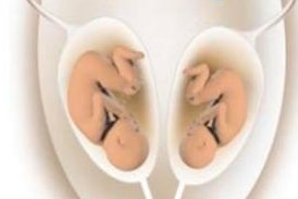 枣阳市生孩子做染色体检查有必要吗，筛查一次大概需要多少钱？